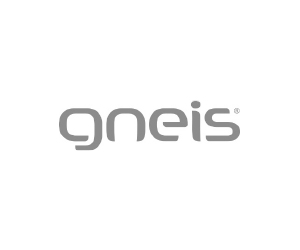 gneis